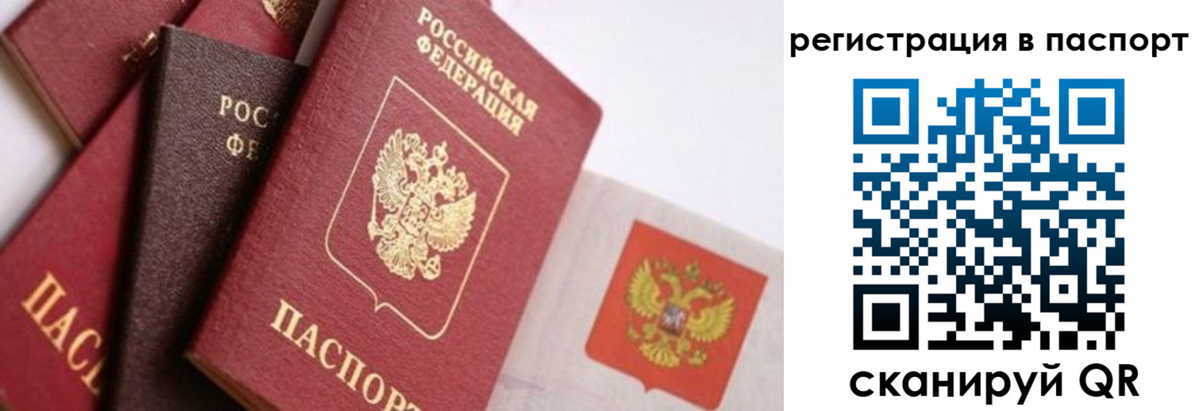 прописка в квартире в Медногорске